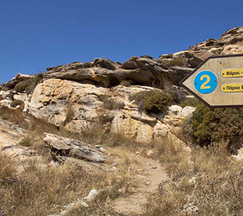 Historical paths