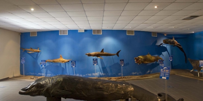 Rhodes - Rhodes Aquarium