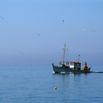 Fishing Boat, Chora Anafi, Cyclades, Greece, Europe ©Clairy Moustafellou /IML